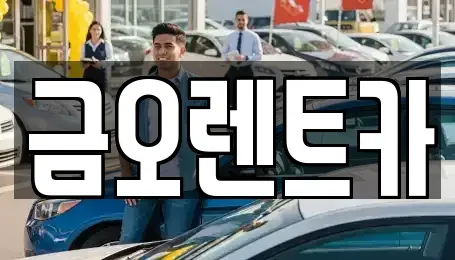 대구 중구 서성로1가 장기렌트카 전문 금오렌트카