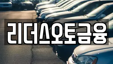 대구 중구 서성로1가 장기렌트카 전문 리더스오토금융