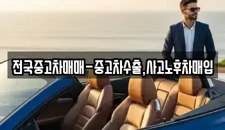 대구 중구 서성로1가 중고차 전문 전국중고차매매-중고차수출,사고노후차매입