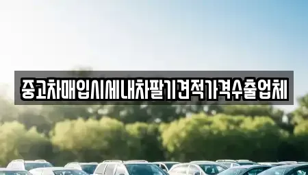 대구 중구 서성로1가 중고차 전문 중고차매입시세내차팔기견적가격수출업체