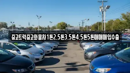 대구 중구 서성로1가 중고차 전문 중고트럭중고화물차1톤2.5톤3.5톤4.5톤5톤매매매입수출