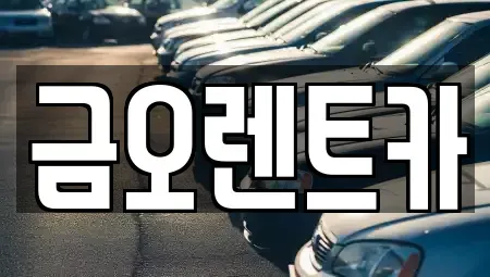 대구 중구 서야동 단기렌트카 전문 금오렌트카