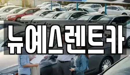 대구 중구 서야동 렌트카 전문 뉴예스렌트카