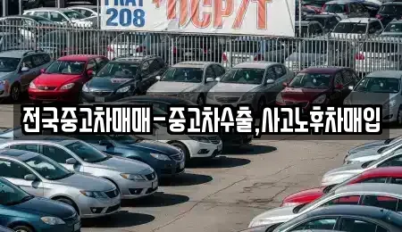 대구 중구 서야동 중고차매매,단기렌트카,중고차매입,장기렌트카,중고차,렌트카