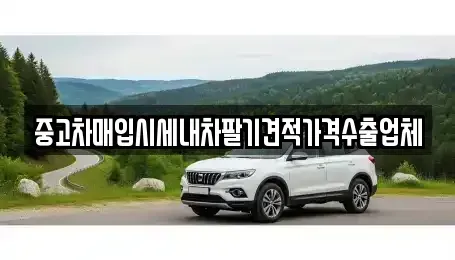 대구광역시 동구 신용동 단기렌트카,중고차매입,중고차매매,중고차,렌트카,장기렌트카