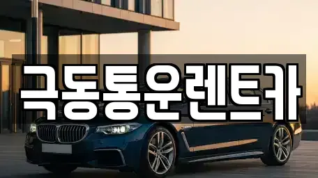 대구광역시 동구 효목동 렌트카 전문 극동통운렌트카