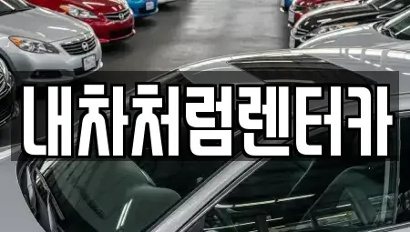 대구광역시 동구 효목동 렌트카 전문 내차처럼렌터카