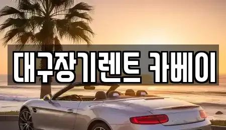 대구광역시 동구 효목동 장기렌트카 전문 대구장기렌트 카베이