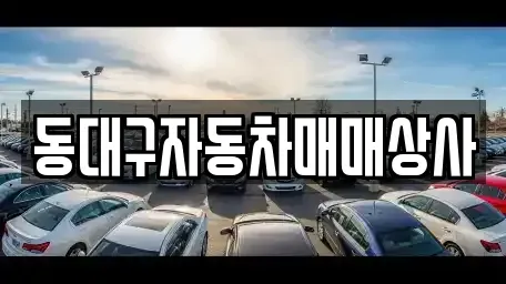 대구광역시 동구 효목동 중고차매매 전문 동대구자동차매매상사