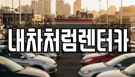 대구광역시 북구 도남동 렌트카 전문 내차처럼렌터카