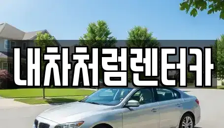 대구광역시 북구 복현동 렌트카 전문 내차처럼렌터카