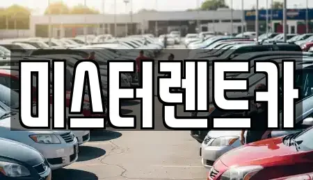 대구광역시 북구 복현동 렌트카 전문 미스터렌트카