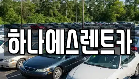 대구광역시 북구 복현동 렌트카 전문 하나에스렌트카