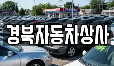 대구광역시 북구 복현동 중고차매매 전문 경북자동차상사