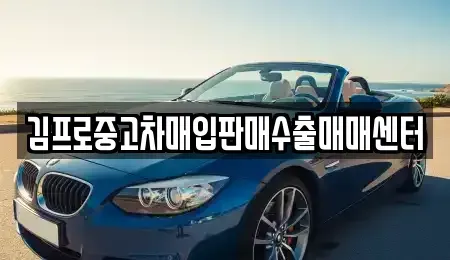 대구광역시 북구 복현동 중고차매입 전문 김프로중고차매입판매수출매매센터