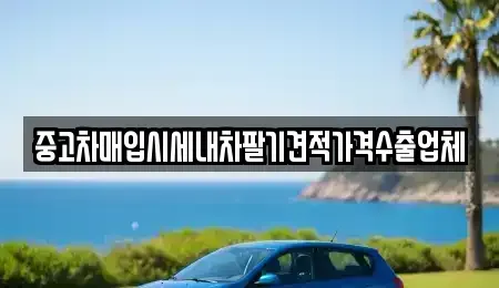 대구광역시 북구 복현동 단기렌트카,중고차매입,중고차매매,중고차,렌트카,장기렌트카