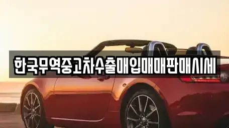 대구광역시 북구 복현동 중고차매입 전문 한국무역중고차수출매입매매판매시세