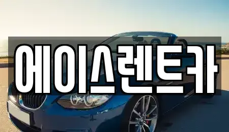대구광역시 서구 평리동 렌트카 전문 에이스렌트카