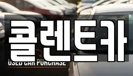 대구광역시 서구 평리동 렌트카 전문 콜렌트카