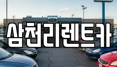 대구광역시 서구 평리동 장기렌트카 전문 삼천리렌트카