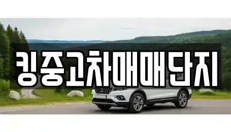 대구광역시 서구 평리동 중고차 전문 킹중고차매매단지