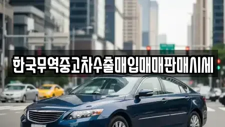대구광역시 서구 평리동 중고차 전문 한국무역중고차수출매입매매판매시세
