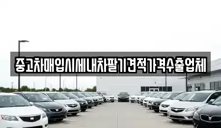 대구광역시 서구 평리동 중고차매입 전문 중고차매입시세내차팔기견적가격수출업체