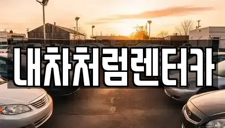 대구광역시 수성구 대흥동 렌트카 전문 내차처럼렌터카