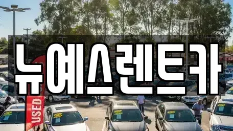 대구광역시 수성구 대흥동 렌트카 전문 뉴예스렌트카