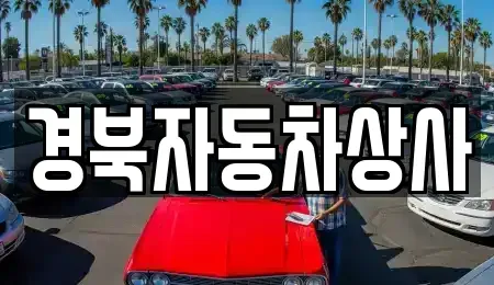 대구광역시 수성구 대흥동 중고차매매 전문 경북자동차상사