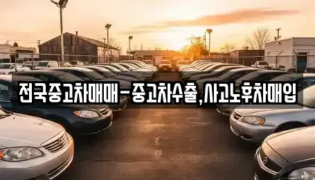 대구광역시 수성구 대흥동 중고차매입 전문 전국중고차매매-중고차수출,사고노후차매입