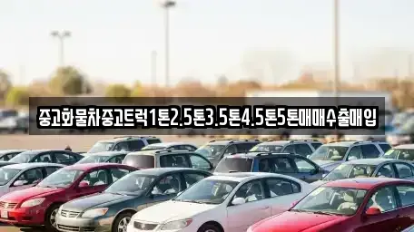 대구광역시 수성구 대흥동 중고차매입 전문 중고화물차중고트럭1톤2.5톤3.5톤4.5톤5톤매매수출매입