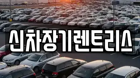 대구광역시 중구 장관동 렌트카 전문 신차장기렌트리스