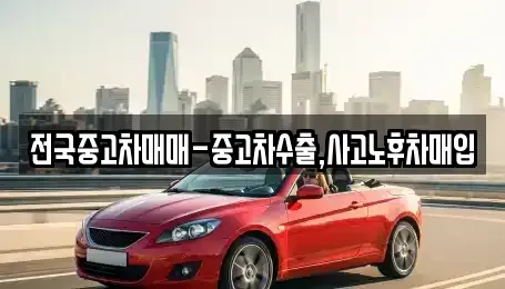 대구광역시 중구 장관동 중고차 전문 전국중고차매매-중고차수출,사고노후차매입