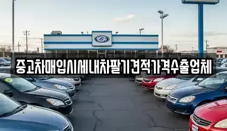대구광역시 중구 장관동 중고차 전문 중고차매입시세내차팔기견적가격수출업체