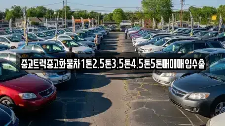 대구광역시 중구 장관동 중고차 전문 중고트럭중고화물차1톤2.5톤3.5톤4.5톤5톤매매매입수출