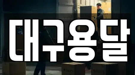 대구용달