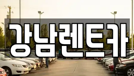 대전 대덕구 비래동 렌트카 전문 강남렌트카