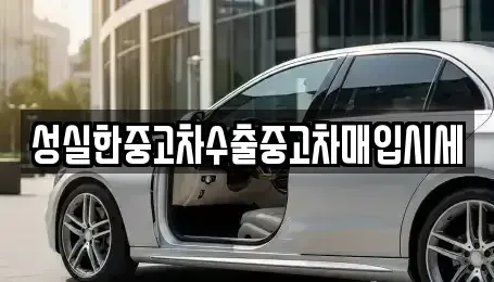 대전 대덕구 비래동 중고차 전문 성실한중고차수출중고차매입시세