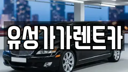 대전 유성구 관평동 렌트카 전문 유성가가렌트카