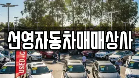 대전 유성구 원신흥동 중고차매매 전문 선영자동차매매상사