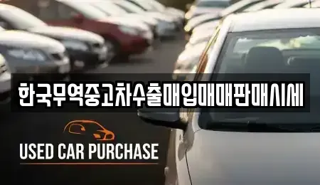 대전 유성구 원신흥동 중고차매입 전문 한국무역중고차수출매입매매판매시세