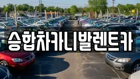 대전 유성구 탑립동 렌트카 전문 승합차카니발렌트카