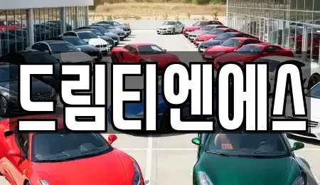 대전 유성구 탑립동 중고차 전문 드림티엔에스