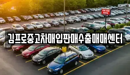 대전 중고차매입 전문 김프로중고차매입판매수출매매센터