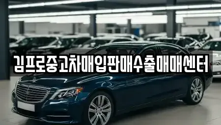 대전 중고차매입 전문 김프로중고차매입판매수출매매센터