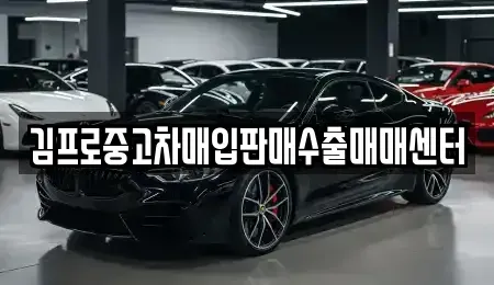 대전 중구 문창동 중고차매입 전문 김프로중고차매입판매수출매매센터