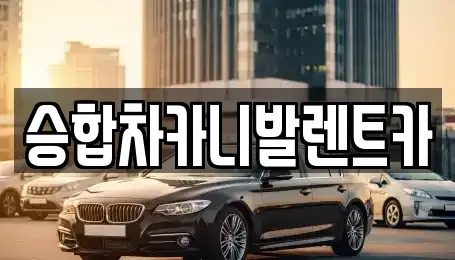 대전 중구 부사동 렌트카 전문 승합차카니발렌트카
