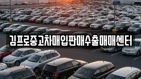 대전 중구 부사동 중고차매매 전문 김프로중고차매입판매수출매매센터