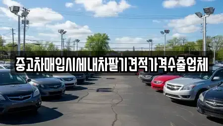 대전 중구 부사동 중고차매입 전문 중고차매입시세내차팔기견적가격수출업체